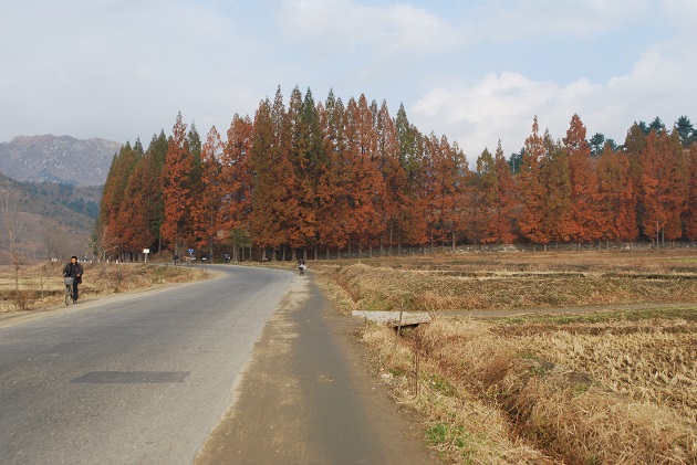 元山市郊協同農場的秋景