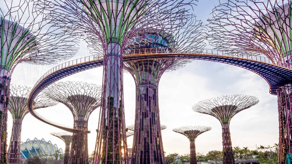 加坡十年間變成一個花園城市，綠色建築林立，每人不知的旅遊景點Supertree Grove亦可以很綠化。