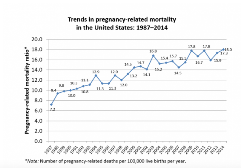 Figure from the Pregnancy Mortality Surveillance System, US CDC, accessed on 13 August 2018