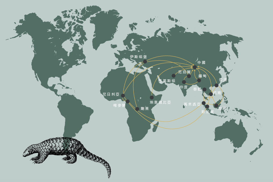 國際野生物貿易研究組織（TRAFFIC）和世界自然保護聯盟（ICUN）在2017年發布一項報告，研究了2010–2015年穿山甲的全球緝獲和販運路線。五年間，全球至少發生了一千二百七十宗穿山甲走私案件，涉及六十七個國家／地區，最主要的走私目的地是中國。全球有一百五十九條走私路線，其中有直接運往中國，也有很多條轉運路線。每年有廿七條新增路線。這說明，走私網絡有密度高，流動性強，必要時，走私者們可以靈活調換線路以躲避執法。最近幾年，非洲的穿山甲貿易顯著增長，有直接到中國，也開始有經由德國等歐洲國家轉運到亞洲。（資料來源：Nepali Times TRAFFIC/IUCN）