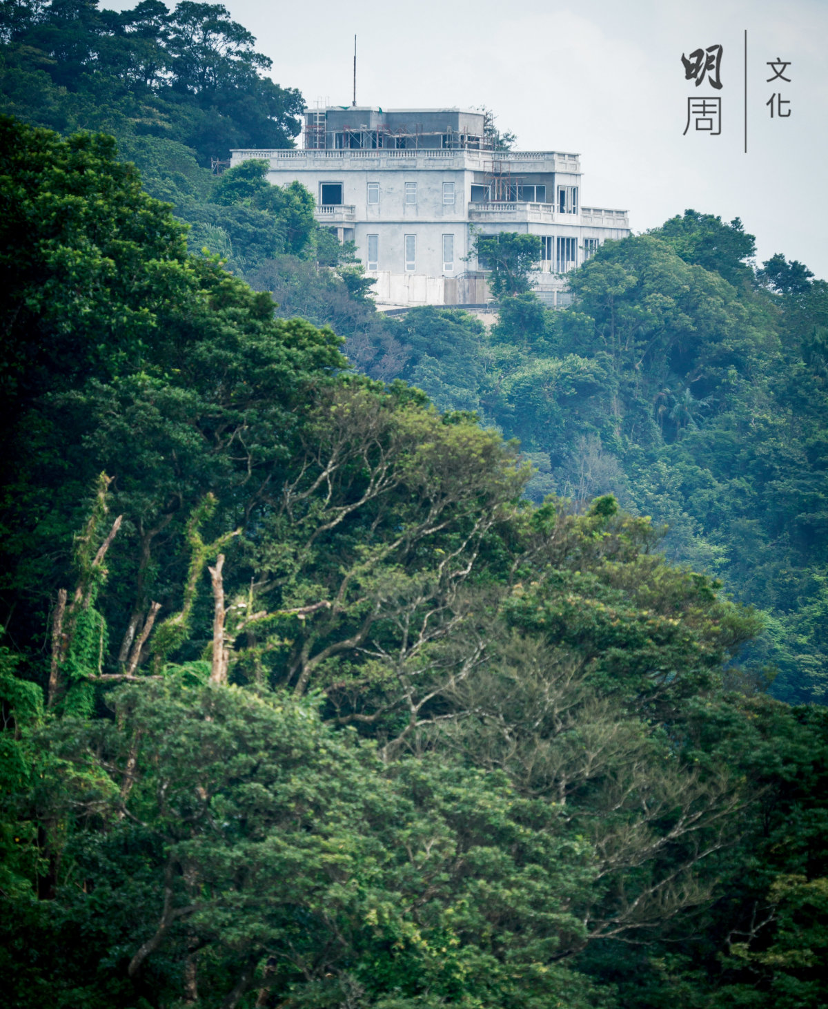 盧吉道上的大宅建築物不多，都是在二、三十年代興建的英式平房。現大部分被評級為二級或三級歷史建築。