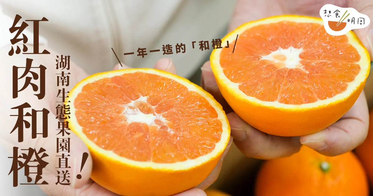 橙無橙味 的感悟 香港企業家湖南開拓自然生態果園種出汁豐無渣 和橙 飲食 明周文化