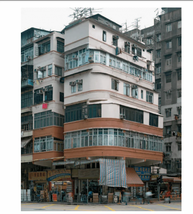 李曾為攝影師Michael Wolf的幾本攝影集寫撰寫緒言及補充圖片說明。圖為拍攝香港轉角大廈的《街頭街尾》內的照片。