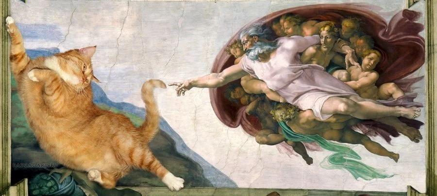 michelangelo_-_creation_of_cat-dam-cat-w-jpg-nggid03159-ngg0dyn-900x404x100-00f0w010c011r110f110r010t010