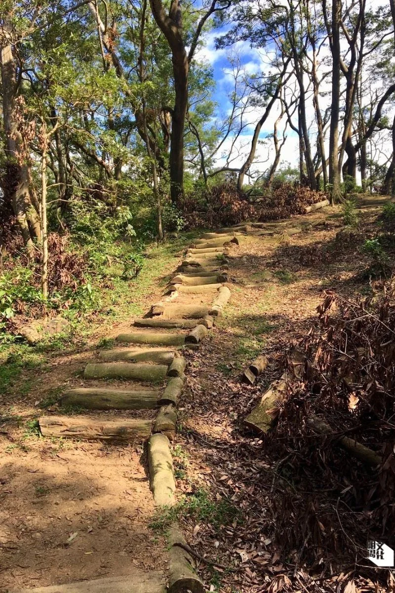 位於大帽山荃錦坳附近的手作步道（圖片由受訪者提供）