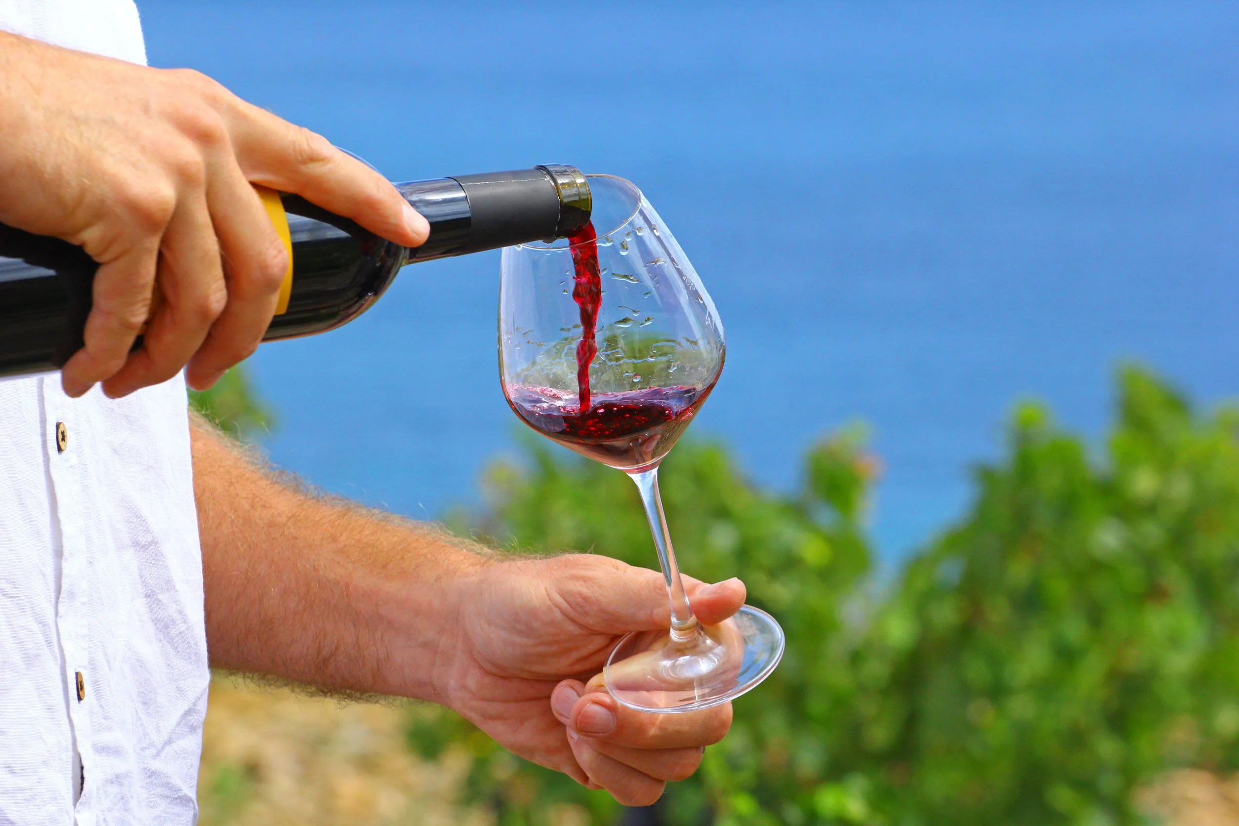 歐西坦尼大區的葡萄園遍佈朗格多克、魯西永、 隆河谷等地區，培育了種類豐富的葡萄酒。