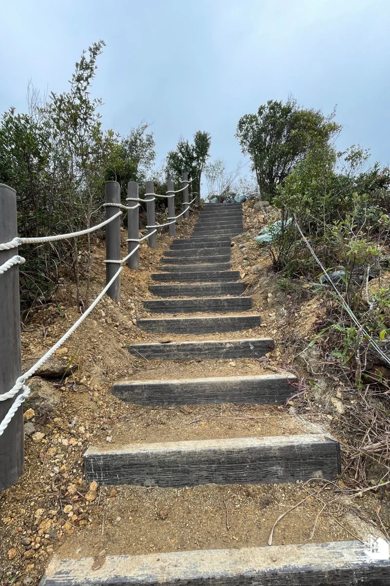 環嶼徑已完成修建的兩條路段築有塑木梯階邊框與扶手。（圖片由受訪者提供）