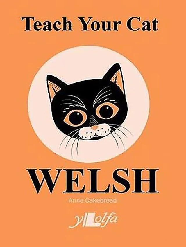 《教你的貓說威爾斯語》雖是一本繪本，看來不像說笑。
