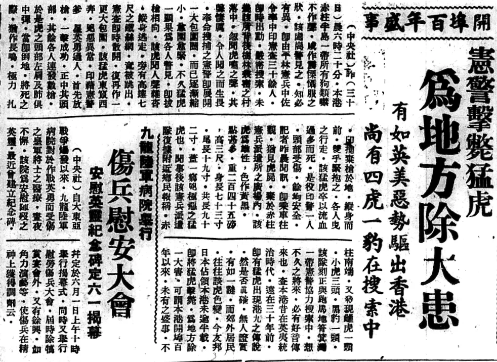 一九四二年五月三十一日出版的《南華日報》，詳細記載了當時日軍捉老虎的過程。