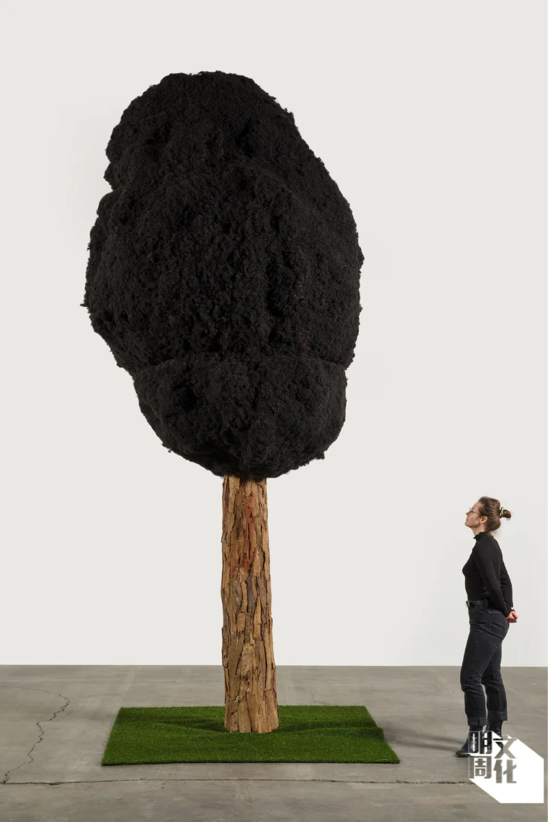 畫廊去年為Henry Taylor舉辦個展，作 品為《One tree per family 》 Photo: Jeff McLane ©Henry Taylor Courtesy the artist and Hauser & Wirth