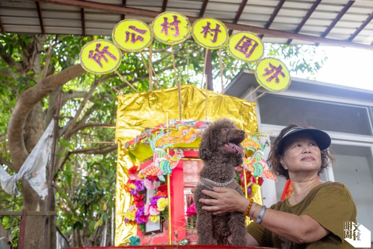 村民Ivy家有一貓一狗，狗狗名叫奀妹，今年十三歲，Ivy笑說她很為食，很喜歡出街。