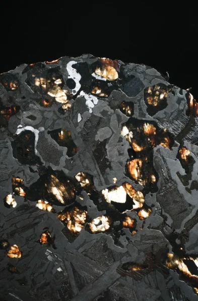 俄羅斯鐵隕石 （Seymchan Pallasite Meteorite） 