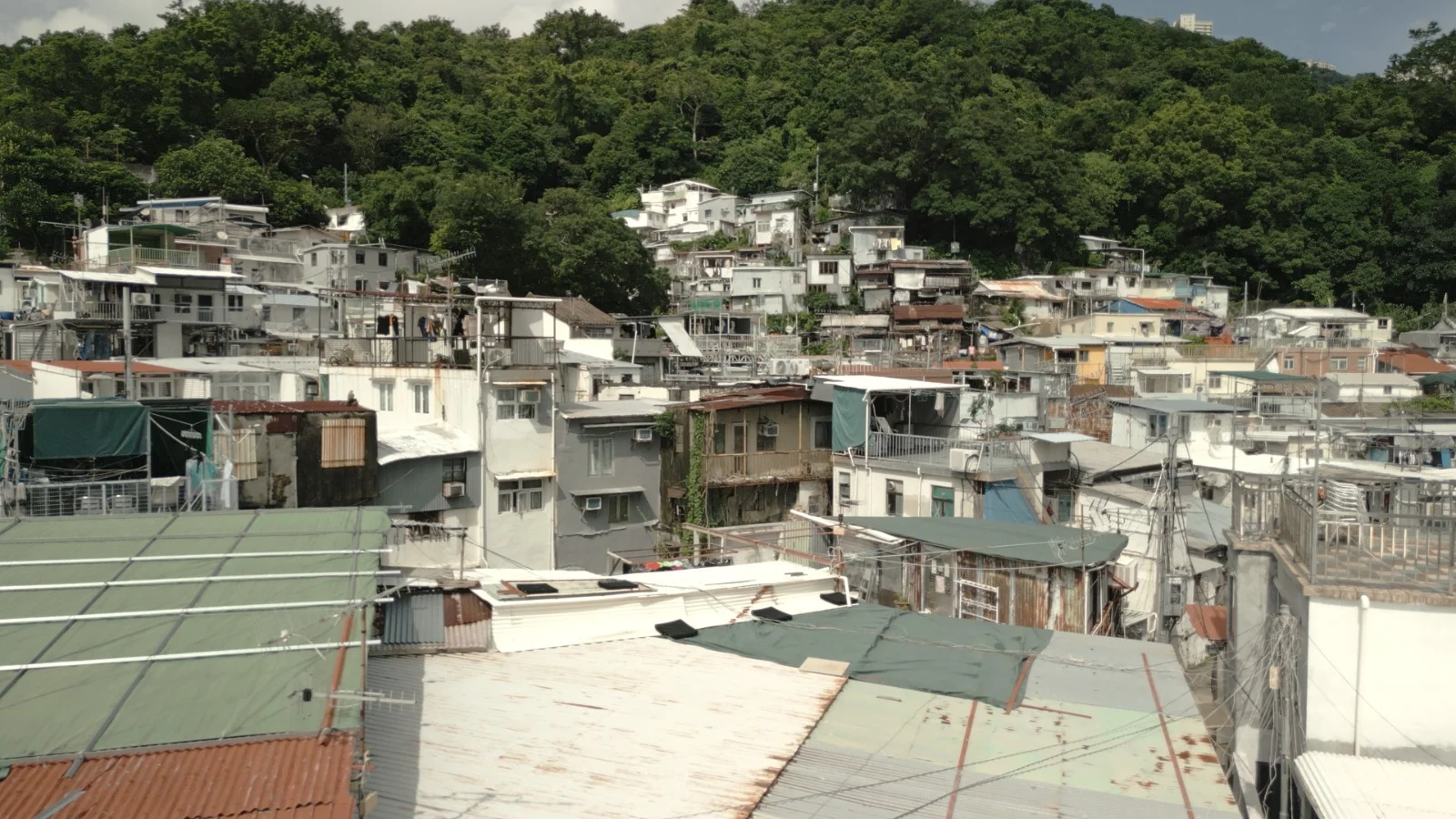 薄扶林村位於港島南端，由於位處低窪地區，過去曾多次在颱風或暴雨下出現水浸情況。