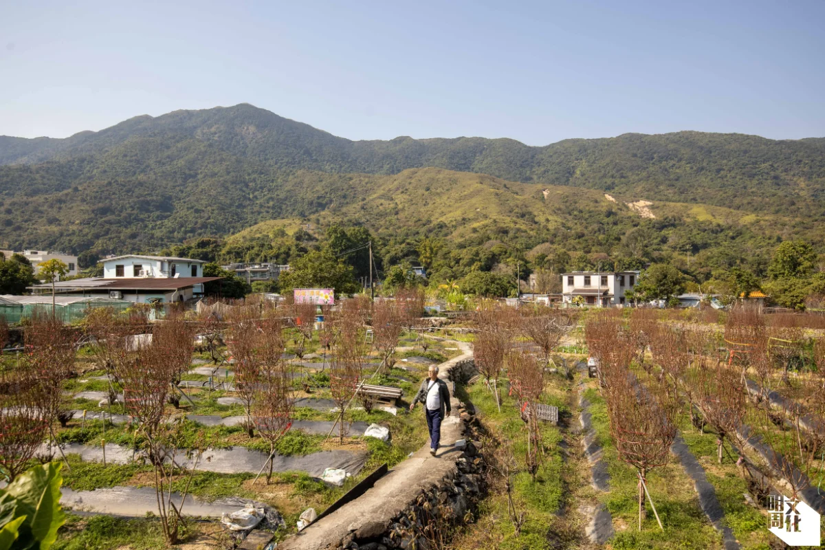 林村花田