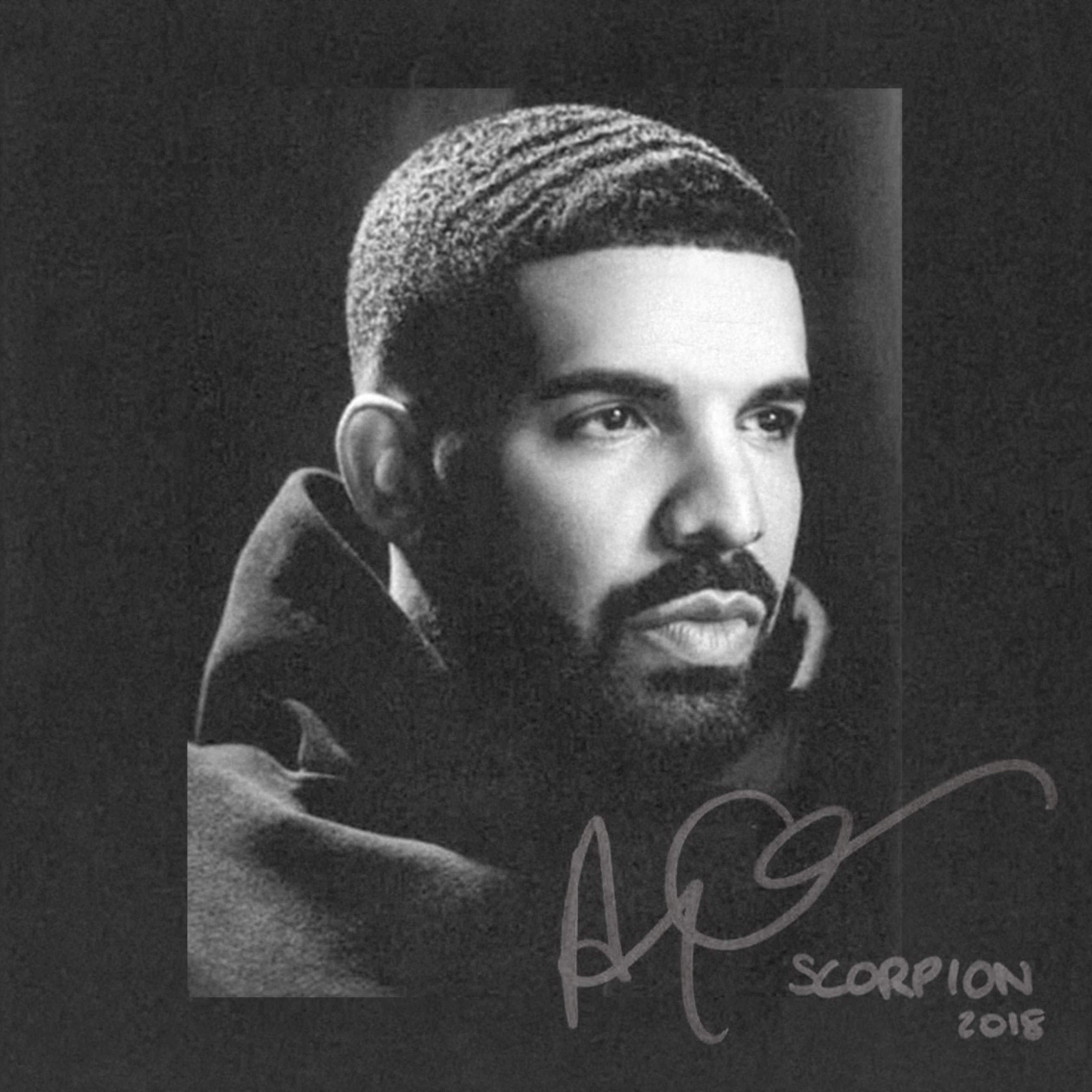 drake-scorpion-art