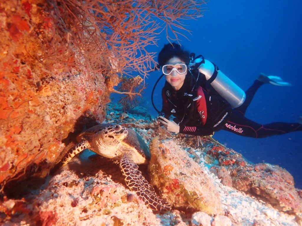 雪子和大海龜在海底相遇